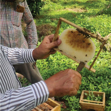 Load image into Gallery viewer, Raw Honey Combo Pack – 100% Pure Kerala Raw Honey (2 Bottles)