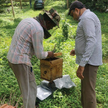 Load image into Gallery viewer, Raw Honey Combo Pack – 100% Pure Kerala Raw Honey (2 Bottles)