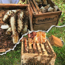 Load image into Gallery viewer, Loudfood Natural Honey 1000gm - Loudfood