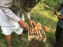 Load image into Gallery viewer, Loudfood Natural Honey 1000gm - Loudfood