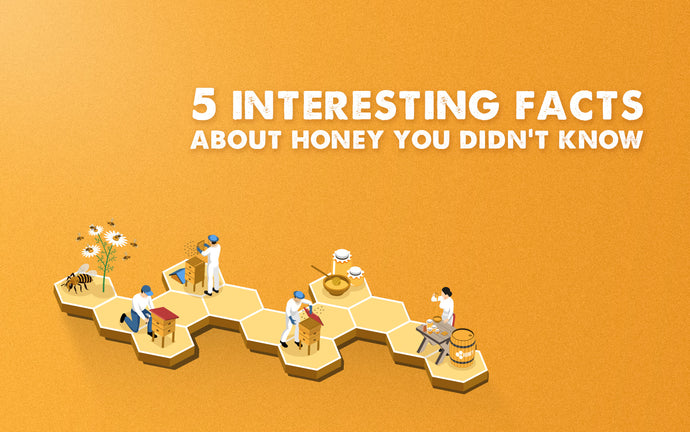 5 Interesting Facts about Honey You Didn’t Know