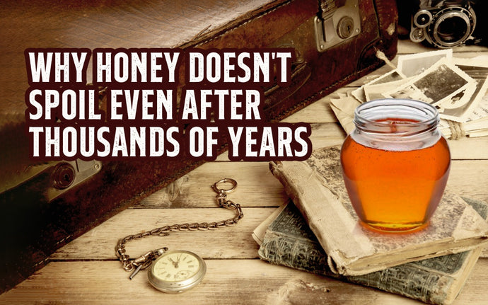 Why Honey Doesn't Spoil Even After Thousands Of Years