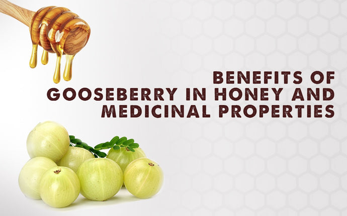 Benefits of gooseberry in honey and medicinal properties