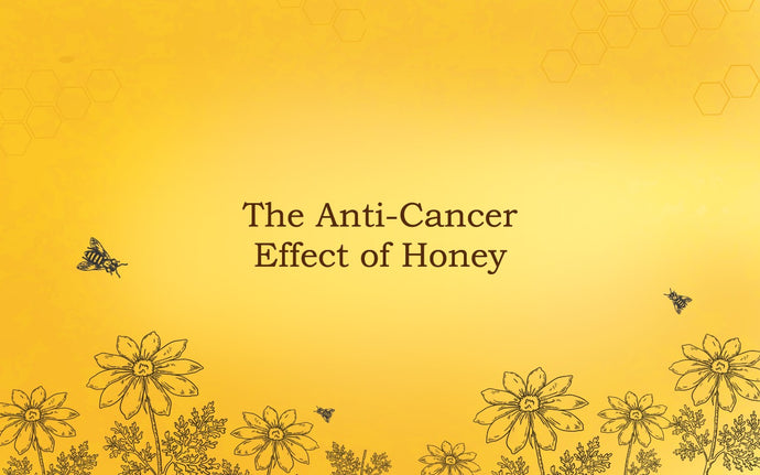 The Anti-Cancer Effects of Honey