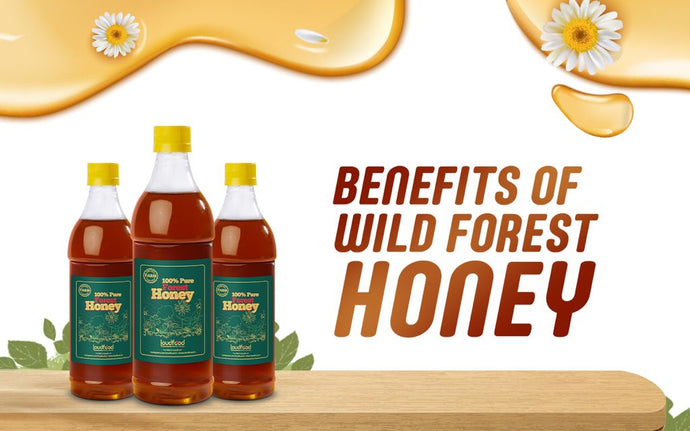 What Are the Benefits of Wild Forest Honey?