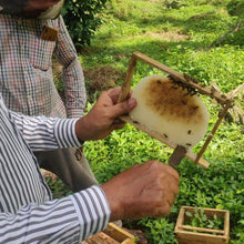 Load image into Gallery viewer, Forest, Raw, Natural &amp; Tribal Honey Combo – 4 Bottle Kerala Pack
